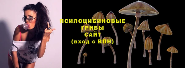 эйфоретик Артём