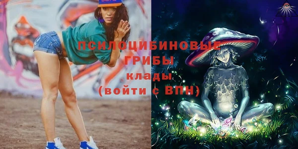 трава Армянск