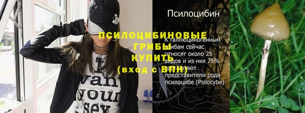 не бодяженный Арсеньев