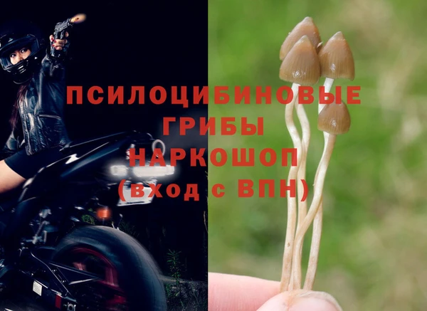 трава Армянск