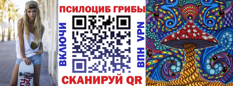 Галлюциногенные грибы Psilocybine cubensis  Карачаевск 