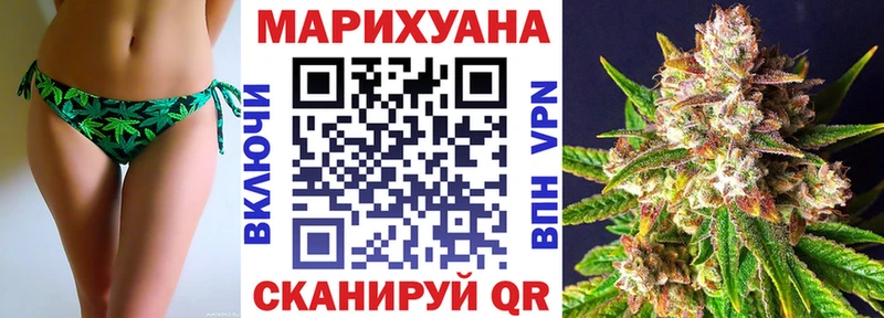 купить наркоту  mega ссылка  Конопля SATIVA & INDICA  Карачаевск 